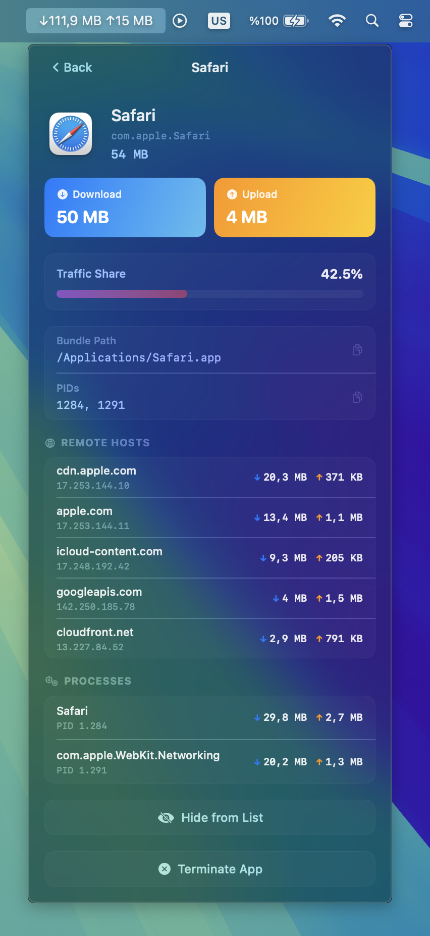 DataDrain — App detail view with remote hosts and processes